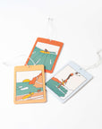 Surfing Air Fresheners - Mango, Melon, and Cucumber - Alimo